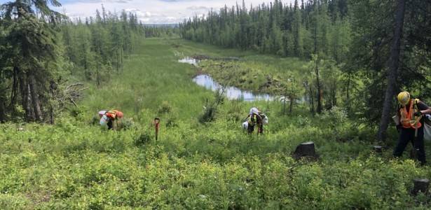 Environmental Service | CCI Inc