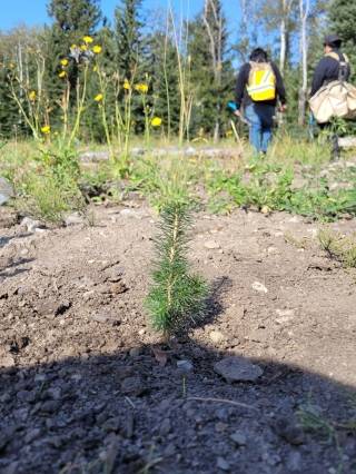 Environmental Consulting Case 1