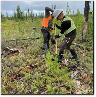 Environmental Consulting Case 2