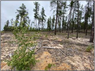 Environmental Consulting Case 2