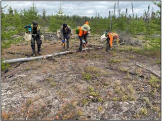 Environmental Consulting Case 2