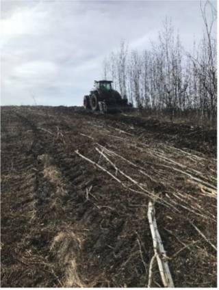 Environmental Consulting Case 3