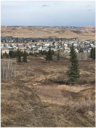 Environmental Consulting Case 3