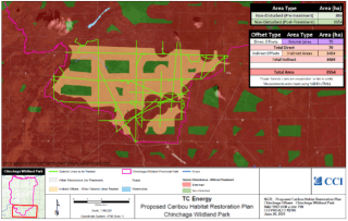 Environmental Consulting Case 5
