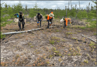 Environmental Consulting Case 5