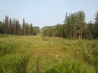 Geotechnical Case Study 3