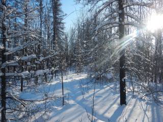 Trenchless Engineering Case Study 3