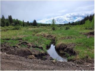 Tsuut’ina Nation Community Fireguard Construction