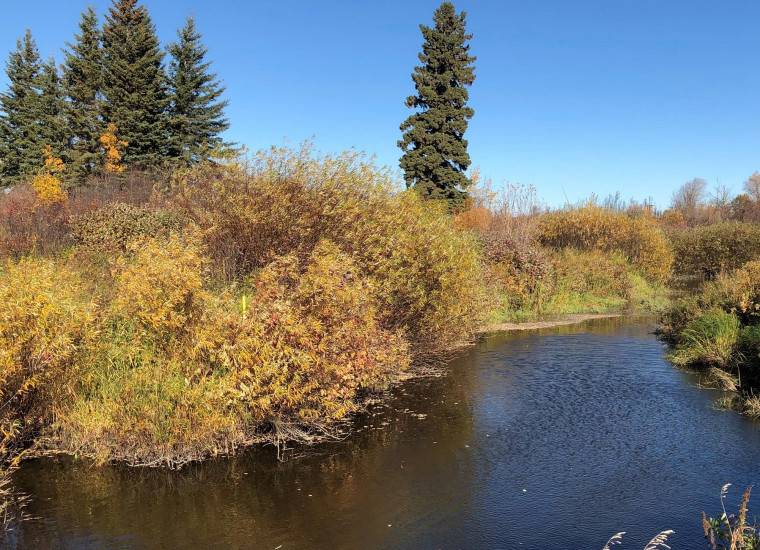 Frontiers of Construction