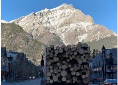 Banff West Sulphur Mountain Fireguard | Environmental | CCI Inc