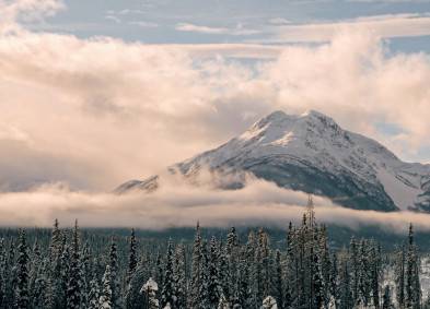 Environmental Planner /Regulatory Specialist