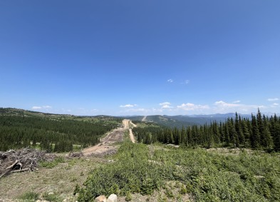 right of way cut through forested area