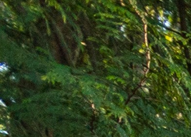 Project Coordinator (Business Development and Partnerships)