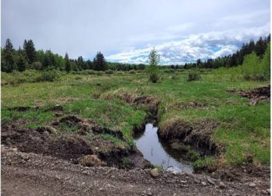 Tsuut’ina Nation Community Fireguard Construction | Environmental | CCI Inc