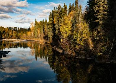 Water Quality Management | Environmental | CCI Inc