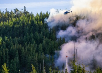 Wildfire Coordinator